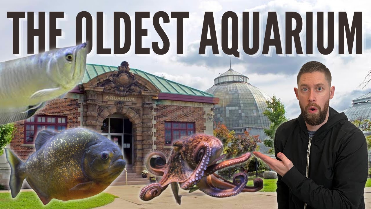 PRIVATE TOUR Inside OLDEST PUBLIC AQUARIUM in the United States! (Belle Isle Aquarium)