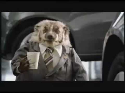 "Wiggle Room" Grady the Badger Johnson Automotive Commercial