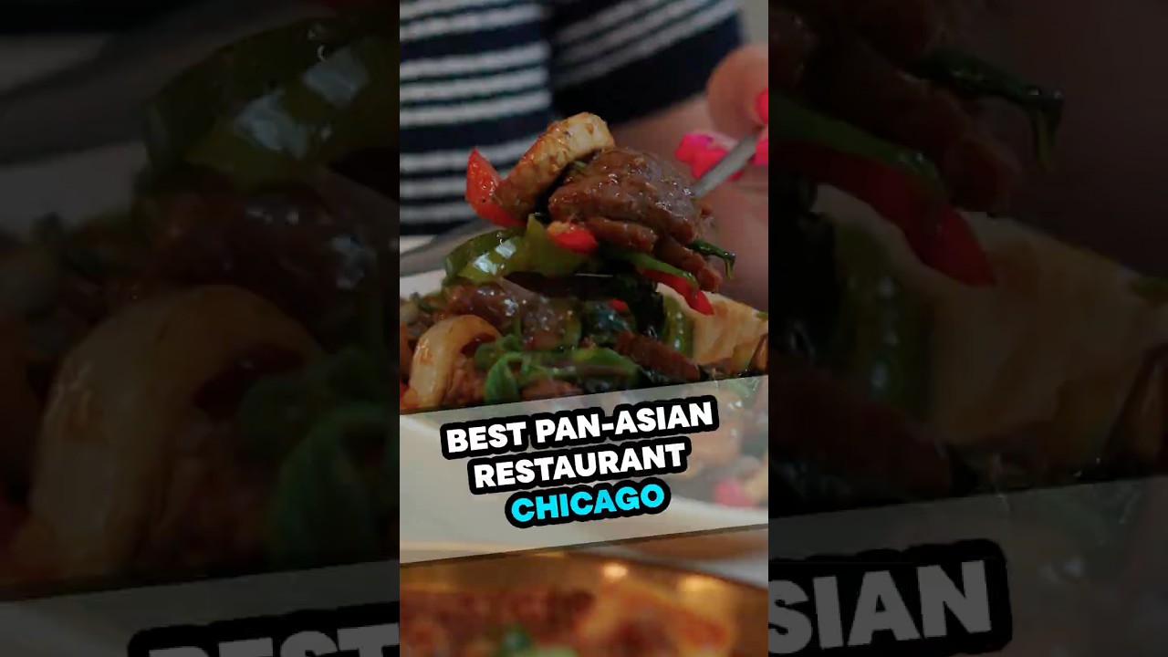Best Pan Asian Food in #chicago, Joy Yee #streetfood