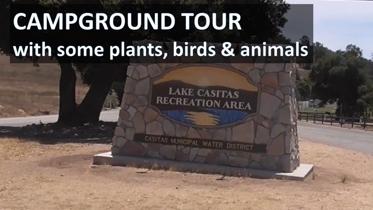 LAKE CASITAS CAMPGROUND TOUR, with plants, birds & animals; Grebe campsite up by Ojai, Ventura