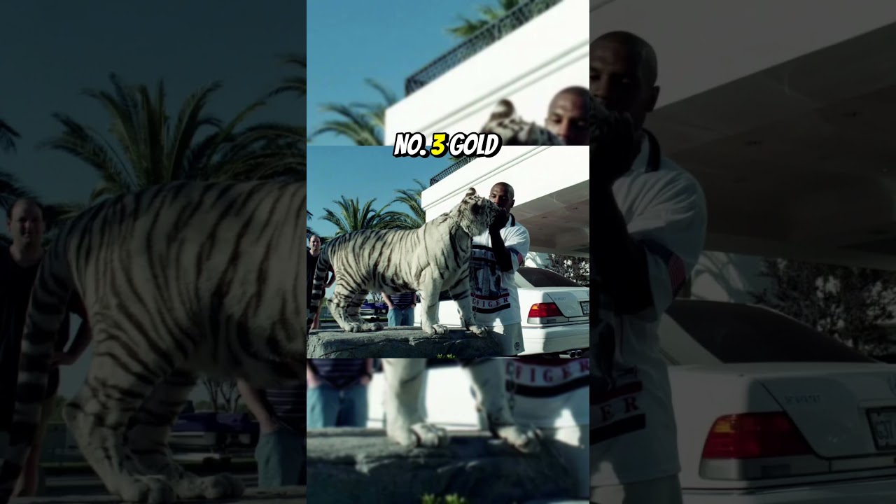 The 5 Most Expensive Things Mike Tyson Owns. #top5 #miketyson