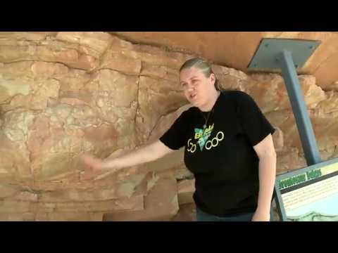 Explore Colorado Dinosaur Ridge