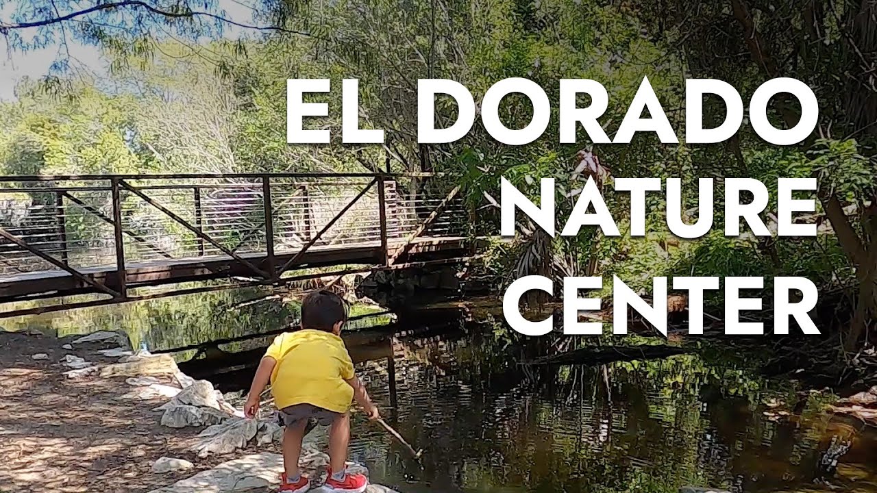 El Dorado Nature Center in El Dorado Regional Park, Long Beach - Nature Walk with Kids
