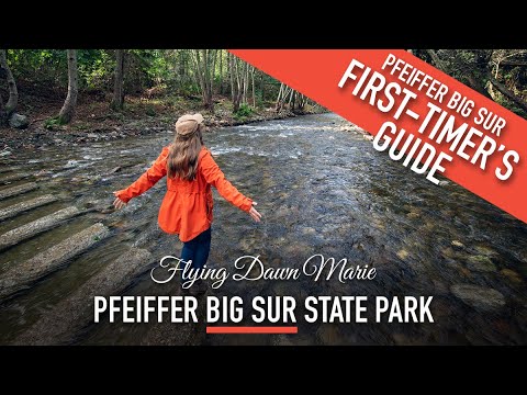 265: First-Timer's Guide to Pfeiffer BIG SUR State Park (Big Sur, CA) - Highway 1 Road Trip Stop