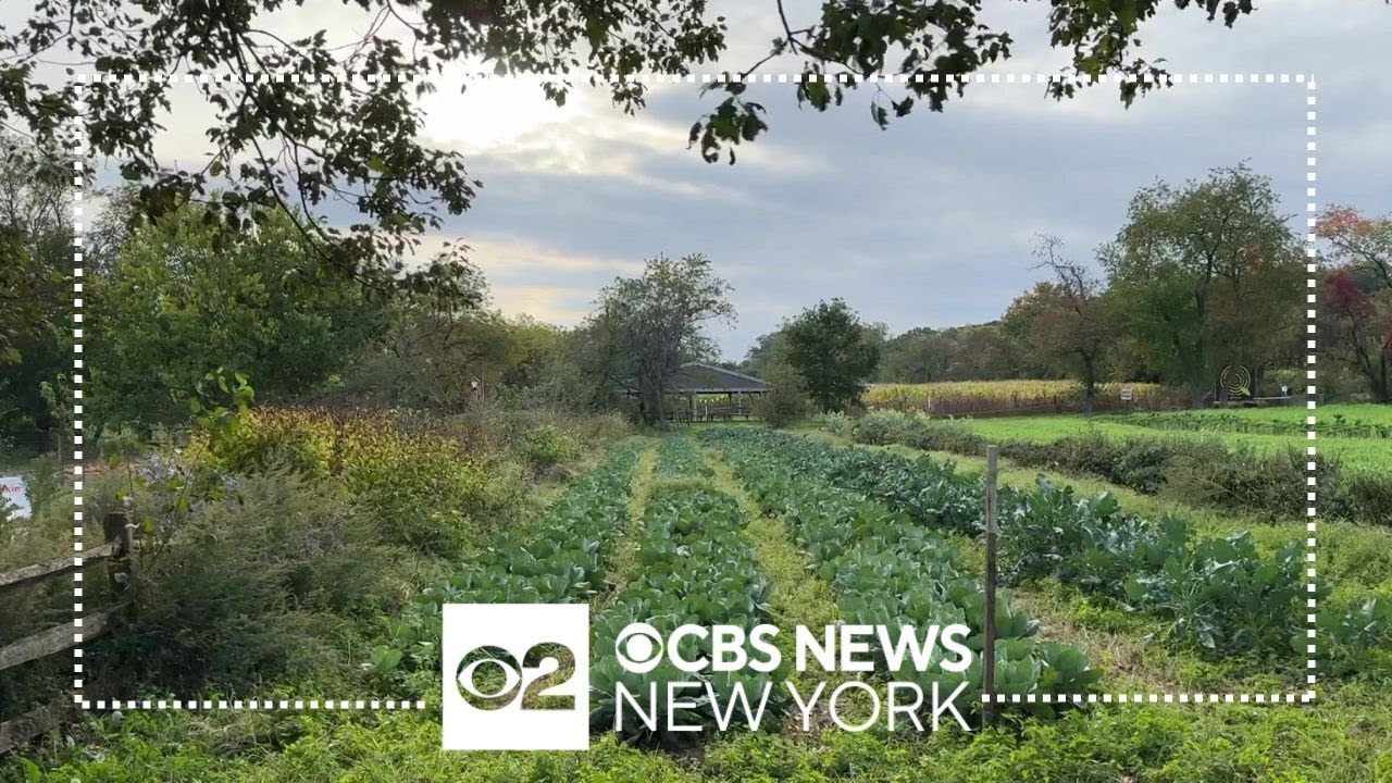 Queens County Farm Museum offers a break from city life