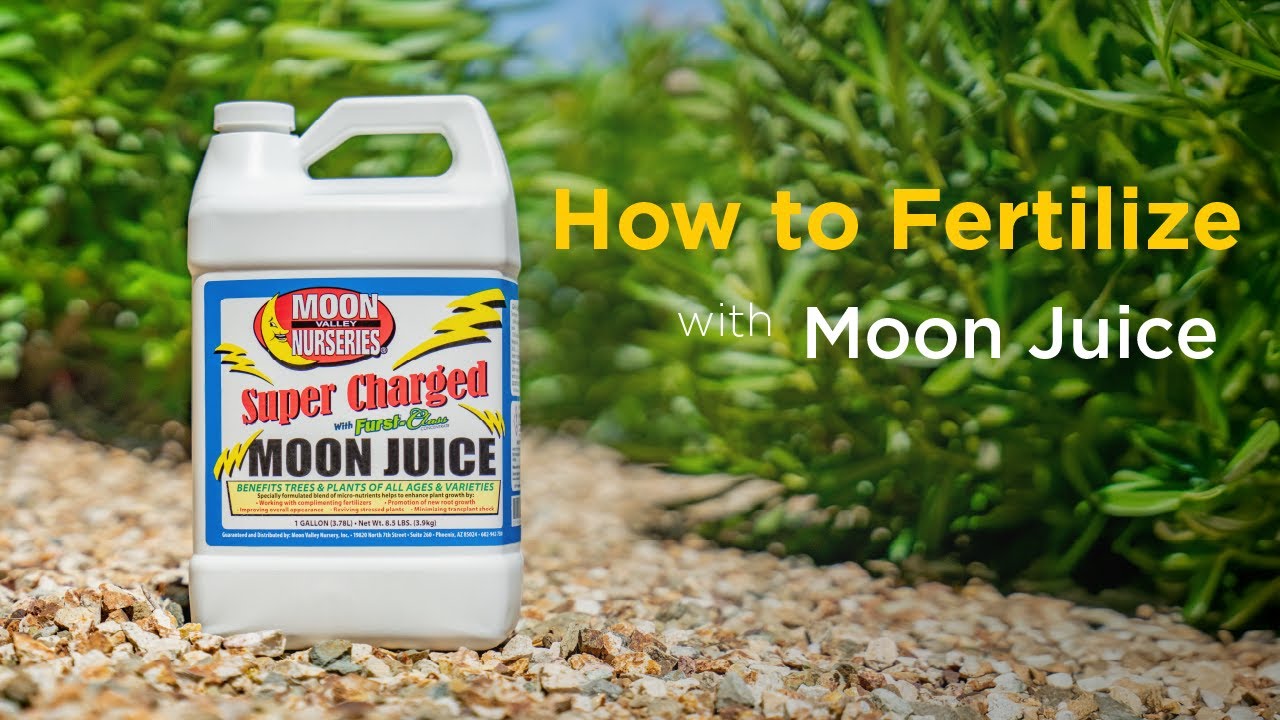 How To Fertilize: Super Charged Moon Juice