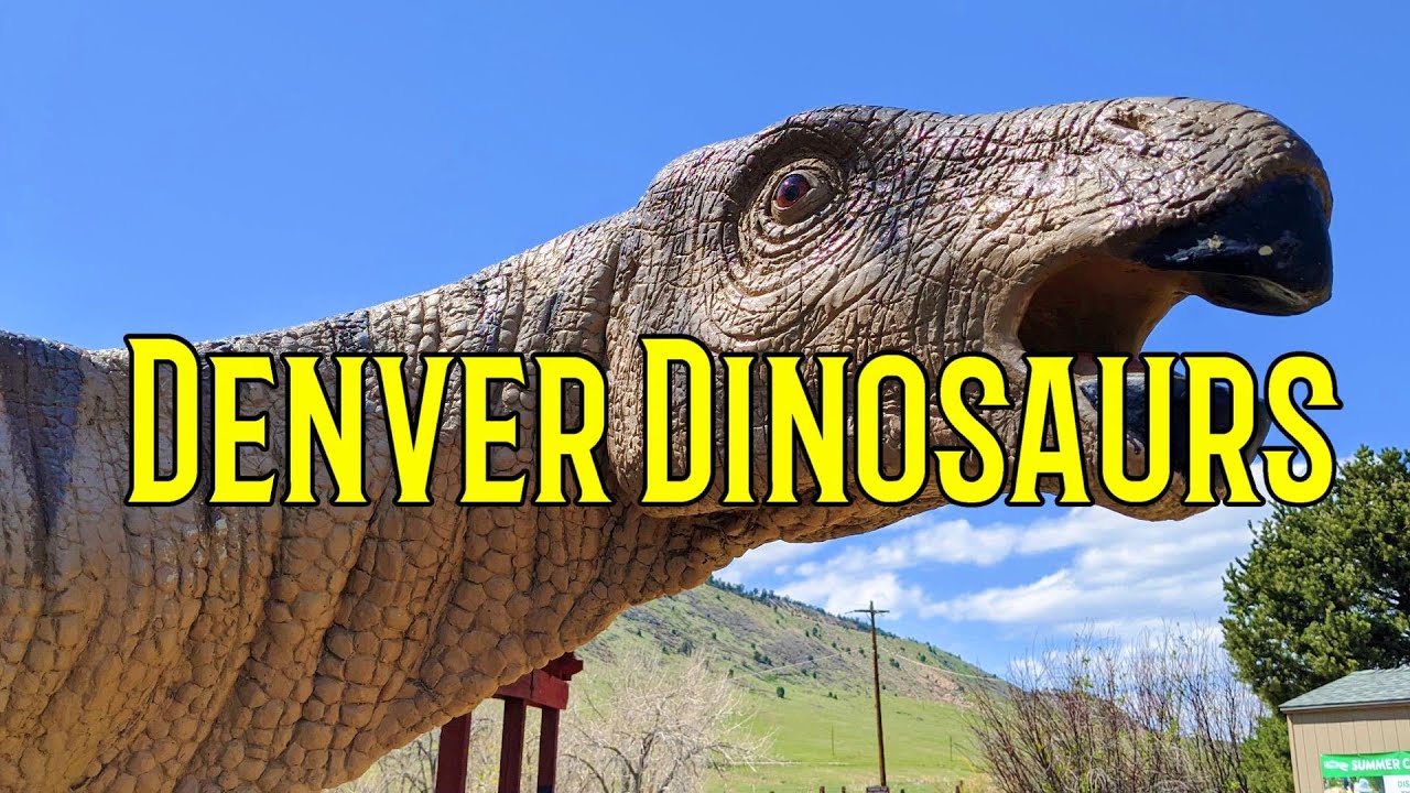 The Denver Dinosaurs | Dinosaur Ridge | Denver Colorado Things to Do