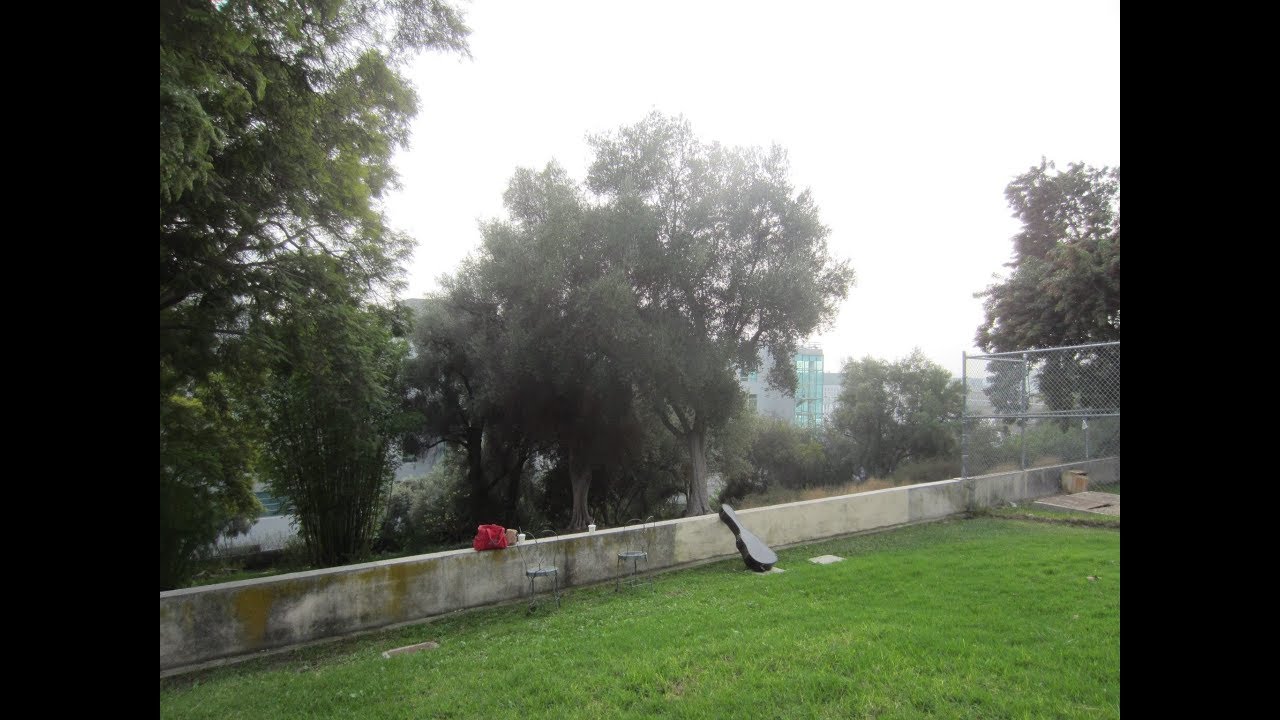 Barnsdall Art Park Tour and History