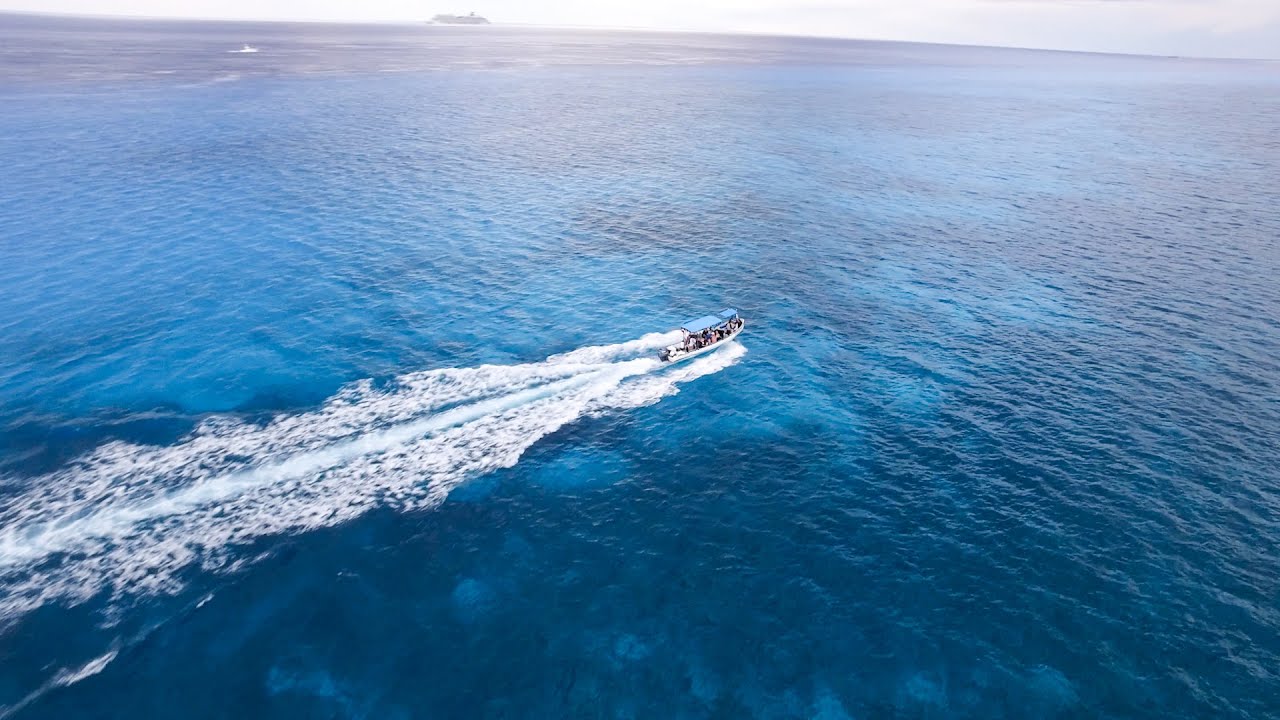 The Explorean Cozumel | BookIt.com Guest Reviews