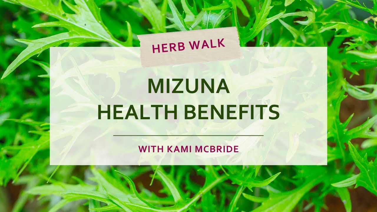 Mizuna Health Benefits and Uses