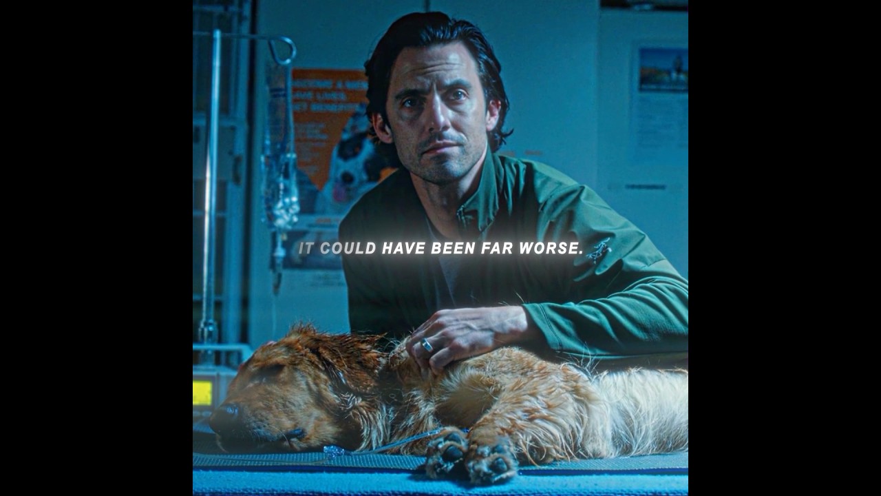 the art of racing in the rain（2019）| "best friend."😭🐕‍🦺