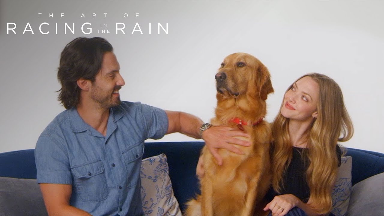 The Art of Racing in the Rain | Meet Parker AKA Enzo | 20th Century FOX