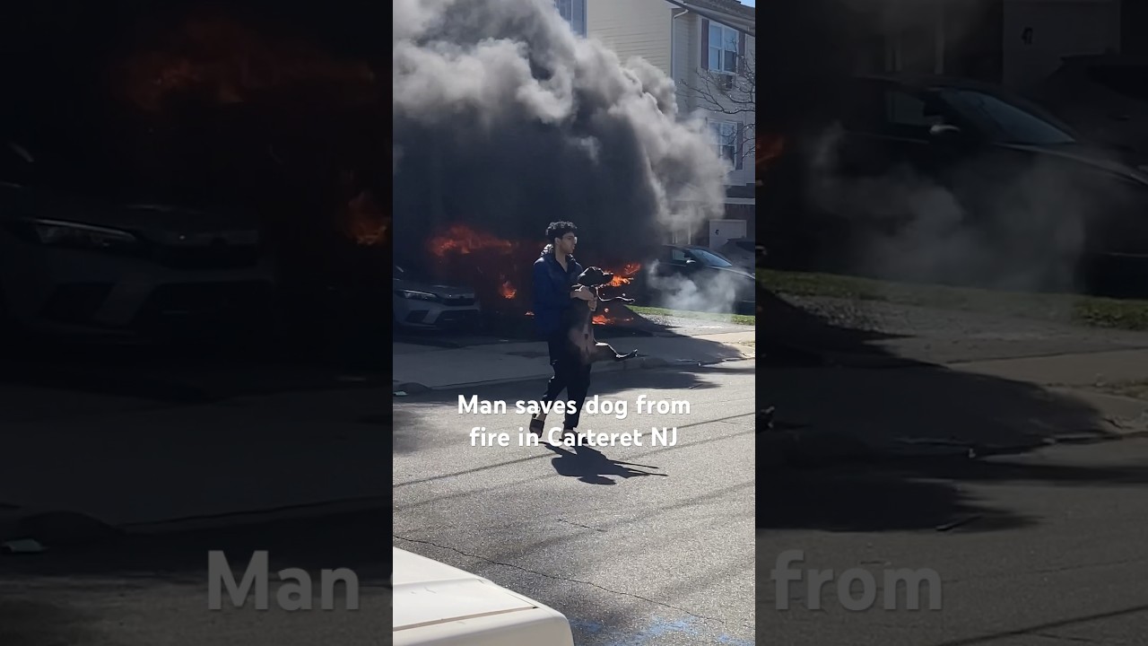 Man saves dog from fire in Carteret NJ #cartretnj #carteret #carteretfire #carteretfiredepartment