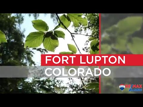 Fort Lupton Community Demographics - RE/MAX Alliance Colorado