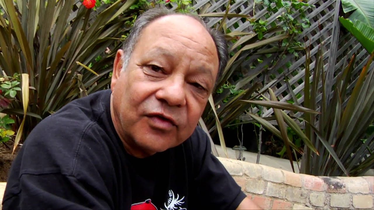 Cheech Marin on being Chicano