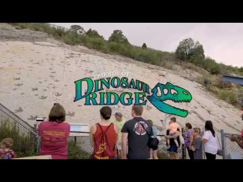 Explore Your Wonder at Dinosaur Ridge