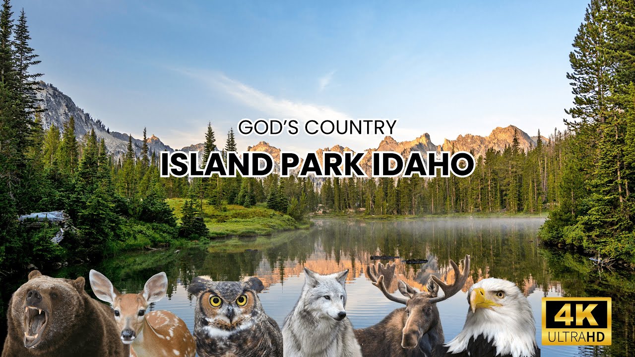 Explore God's Country: Island Park Idaho & Yellowstone - Nature, and a Slice of Heaven for Sale!