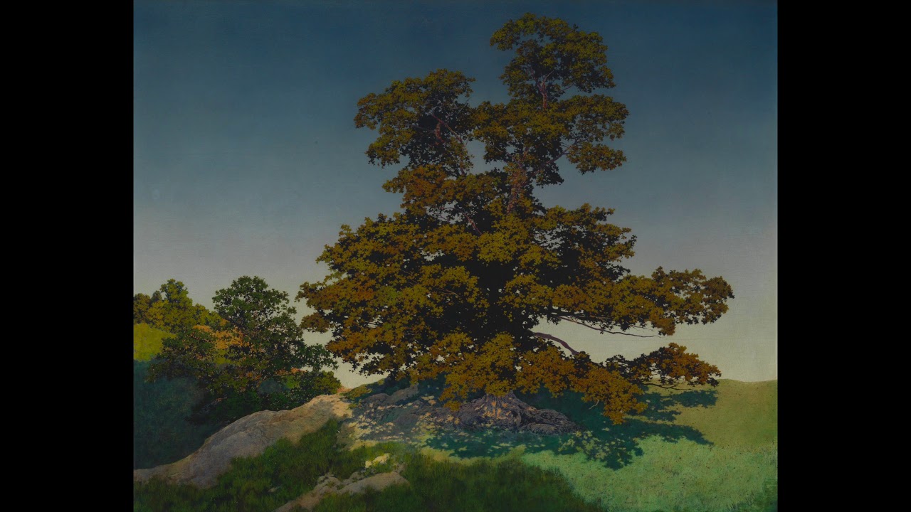CAM Look | Portrait of a Tree by Maxfield Parrish | 5/25/20