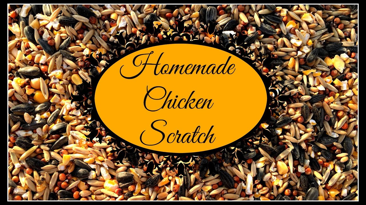Homemade Chicken Scratch~