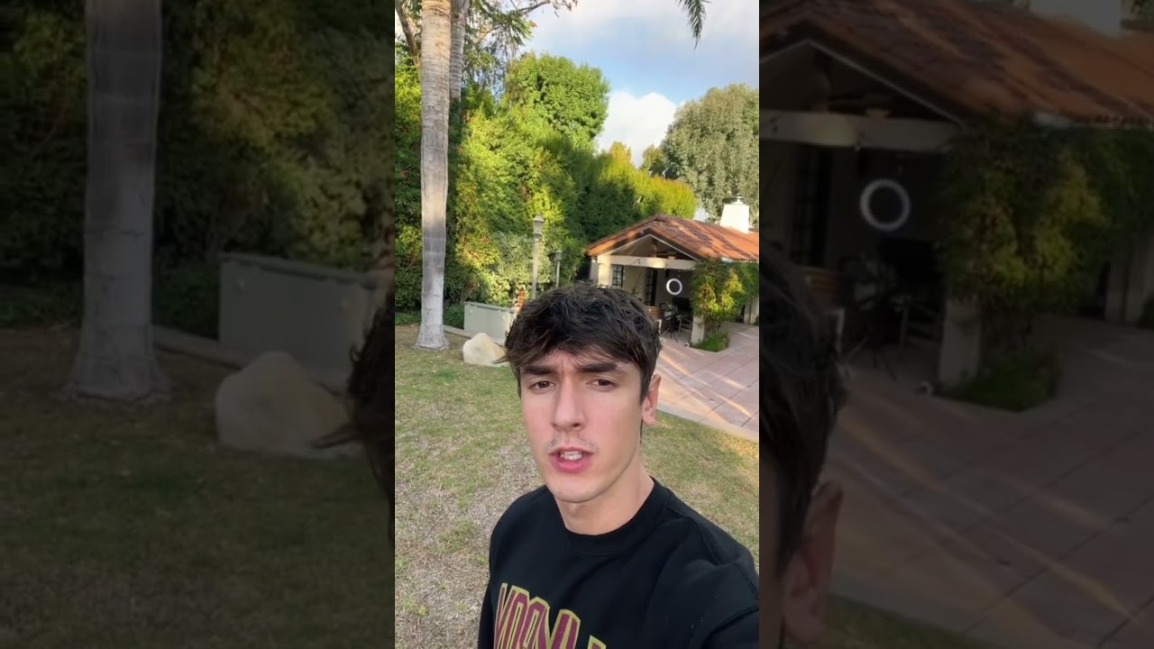 The roast of Logan Paul