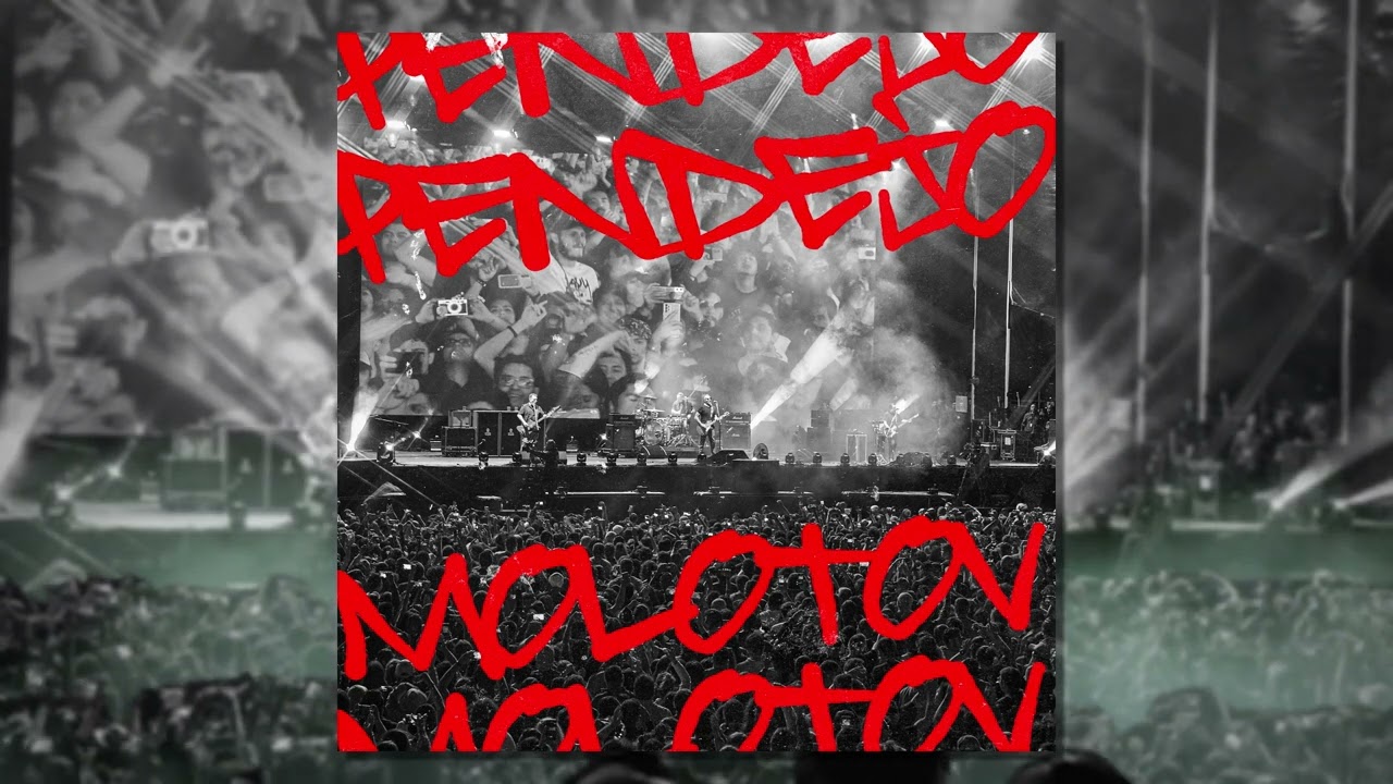 Molotov - Pendejo (Cover Audio)