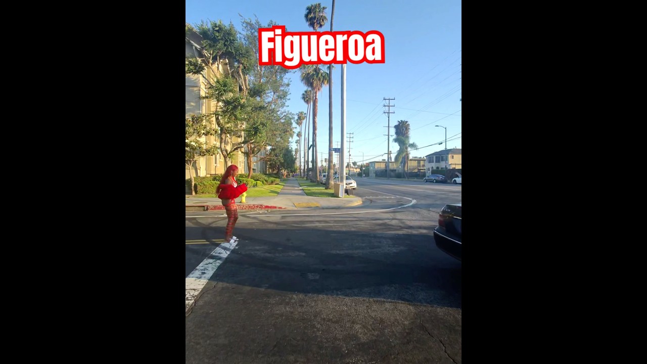 Figueroa street walkers #figueroa #viralvideo #california #usa