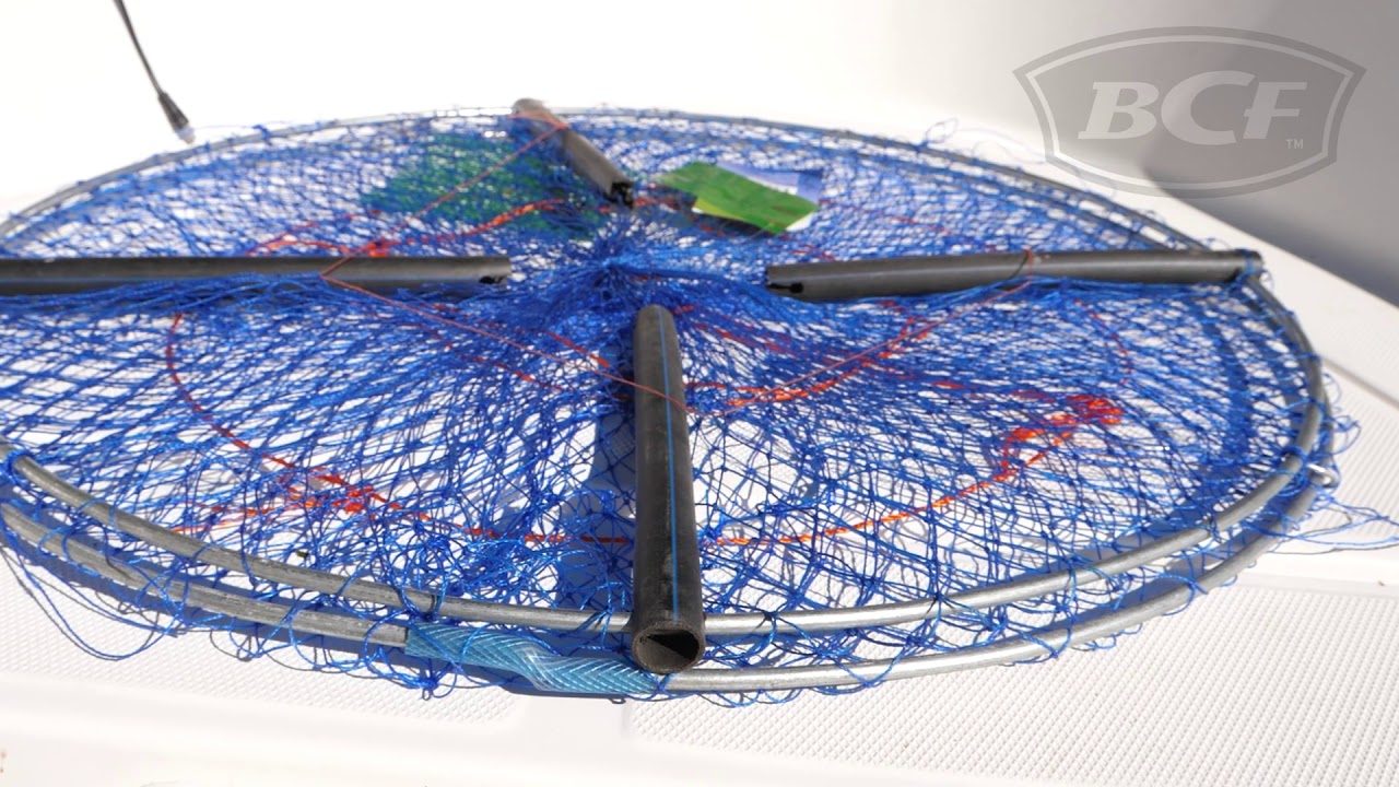 Rogue 4 Entry Round Crab Pot - BCF