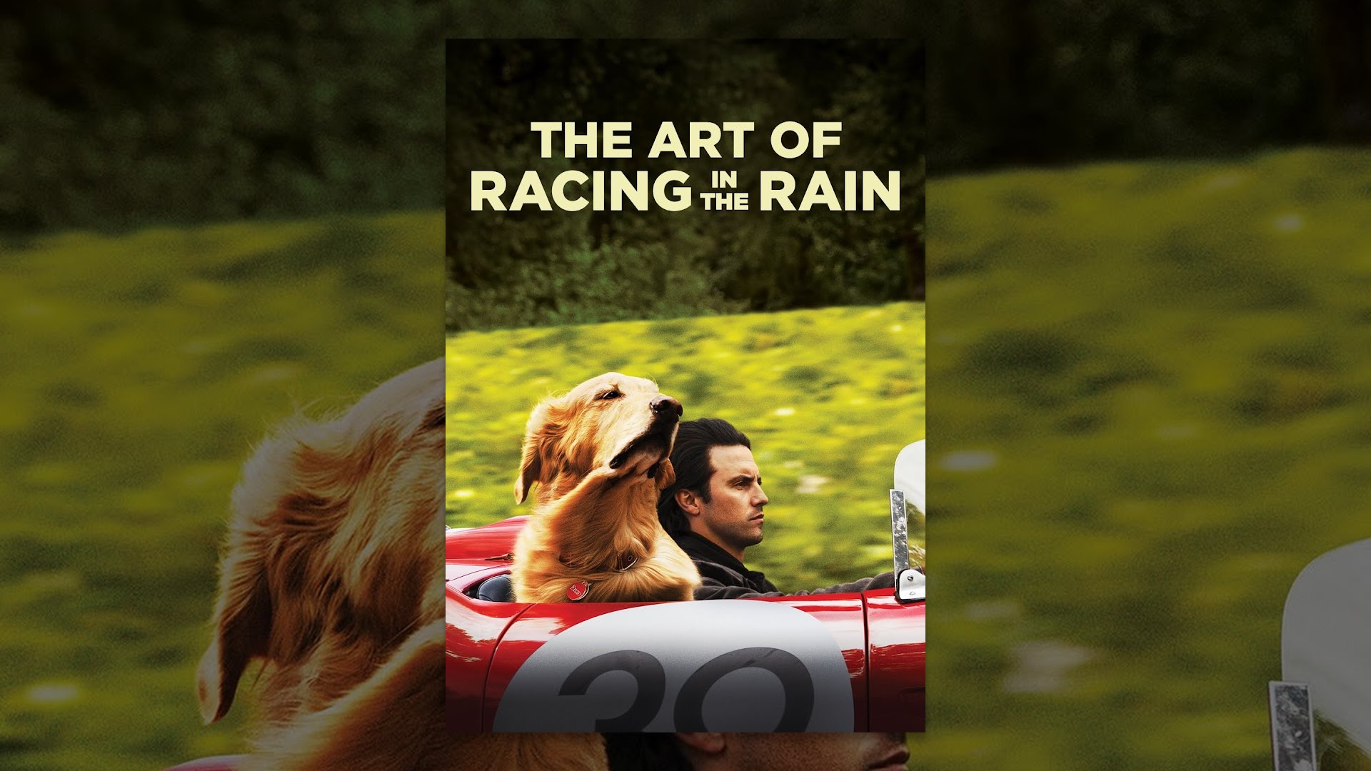 The Art of Racing in the Rain