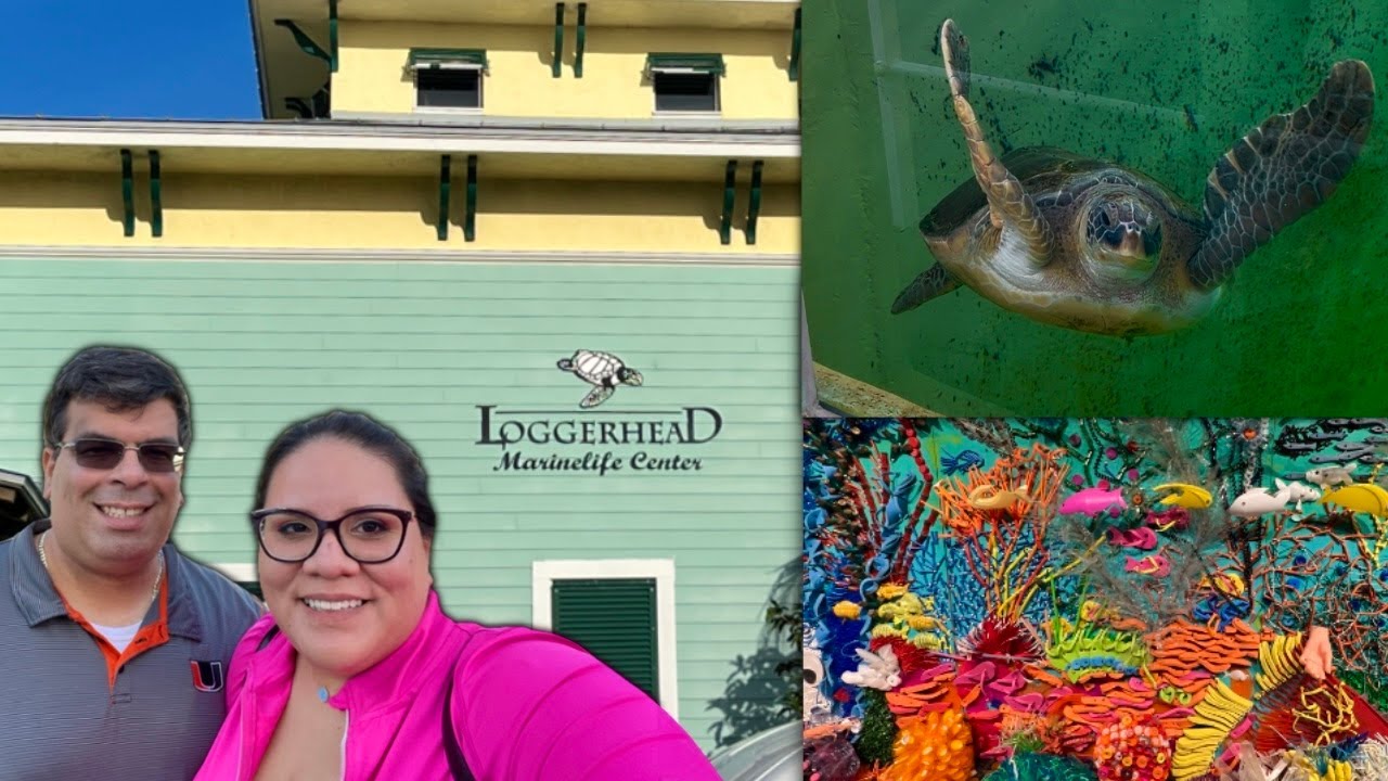 Visiting Loggerhead Marinelife Center | 🐢 Juno Beach Pier