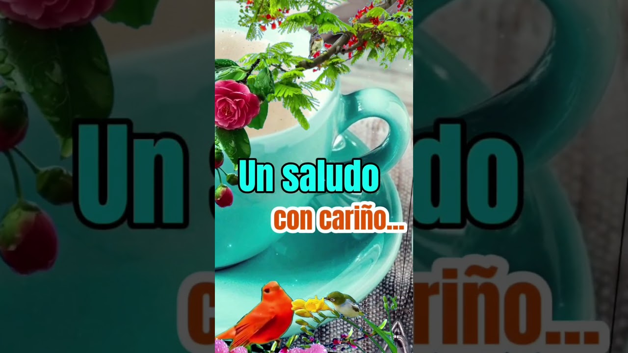 Buenos Días ✨️ Felíz Martes #buenosdias #felizdia #felizybendecidodia #bendiciones