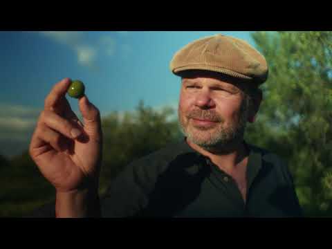 Frankies 457 Brand Film